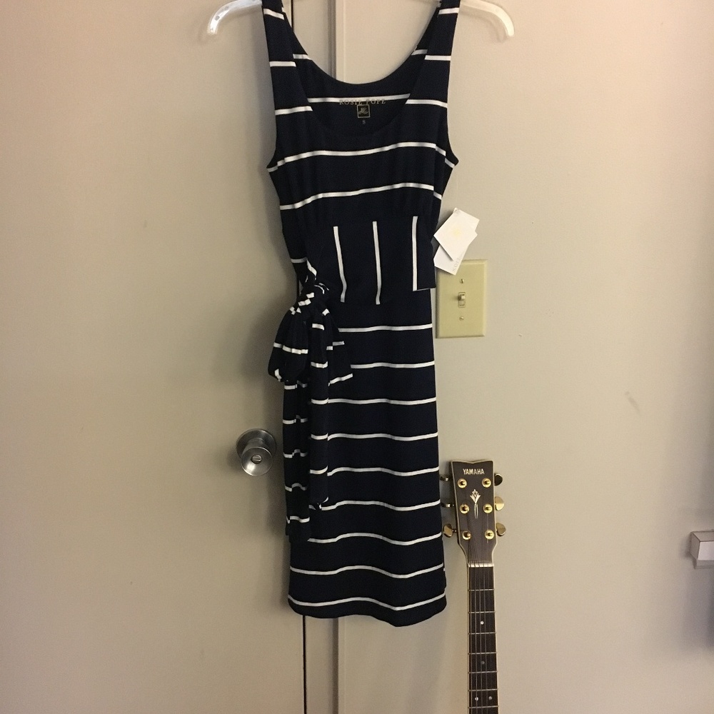 Rosie Pope Navy White Striped Dress